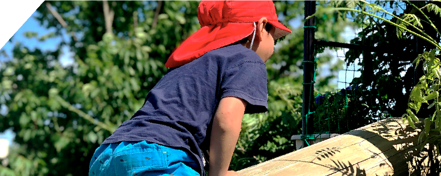 足利いずみ幼稚園の魅力